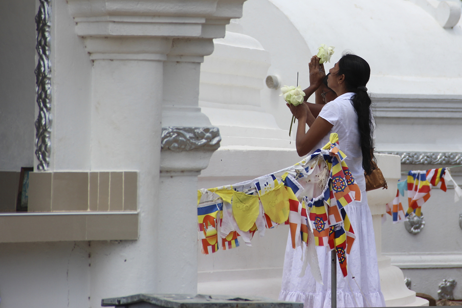IMG-3218-1