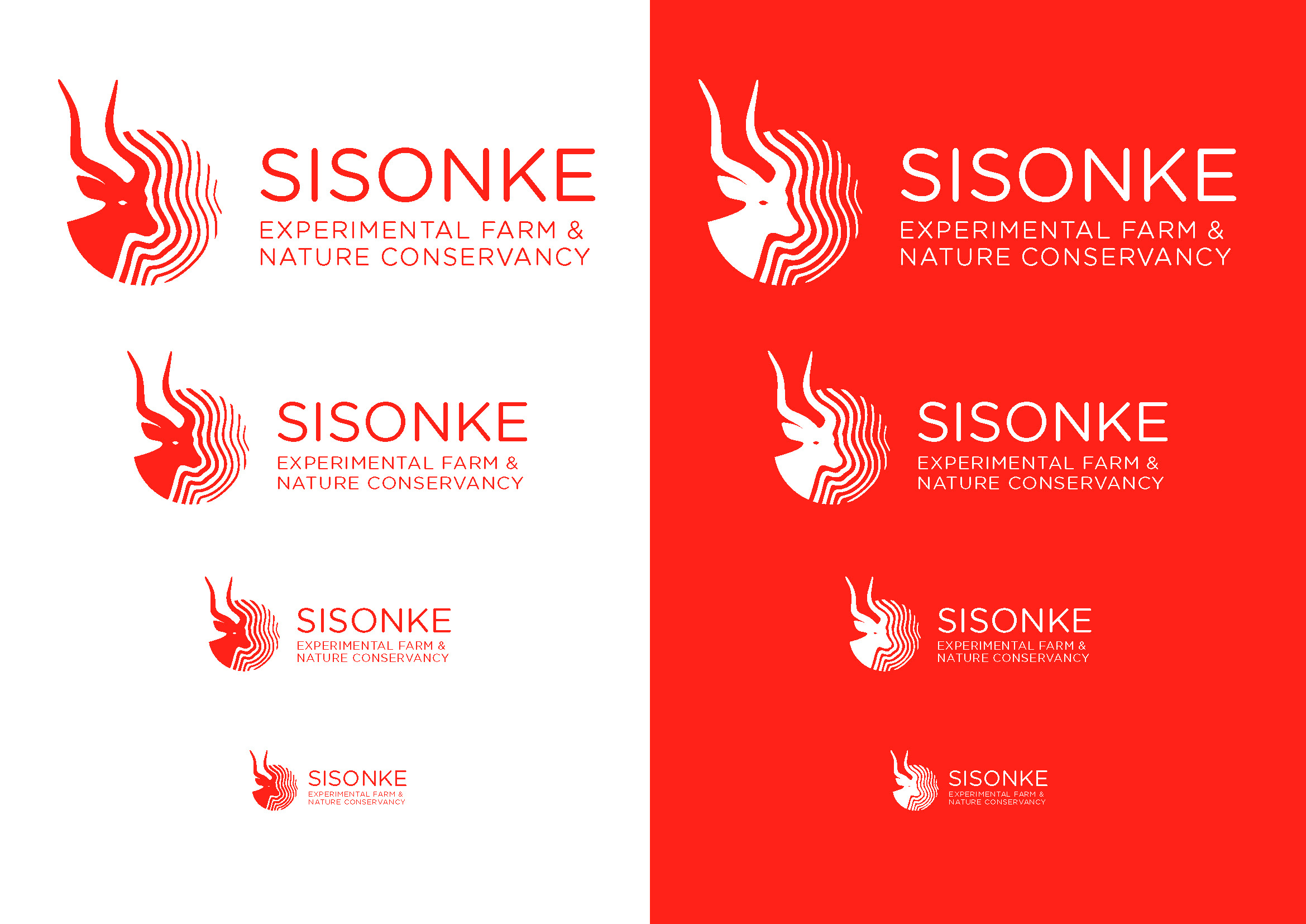 SISONKE DEFINITIVO 1_Pagina_06