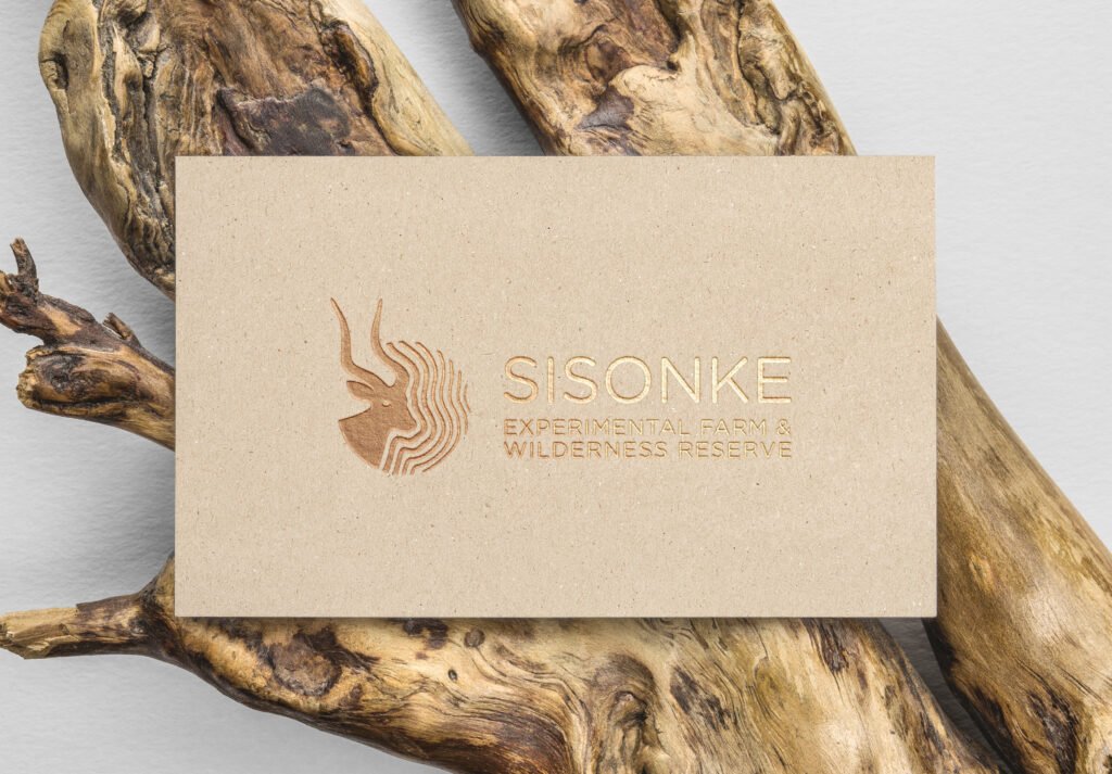Sisonke_Gold Foil B-Card MockUp