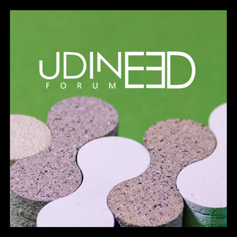 Udine 3D Forum 2019